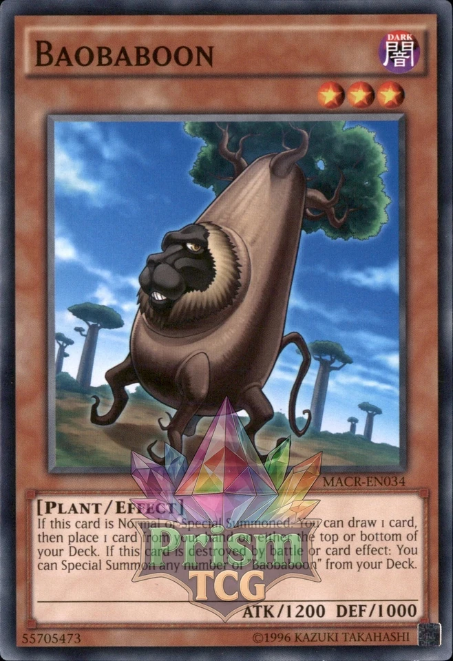 Baobaboon MACR-EN034 Yugioh - Image 1 of 1