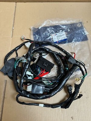 NUEVO Arnés de telar de cableado principal genuino SYM Joyride 200 EFi 2010-2013 32100-LVA-100 Foto 1 de 4