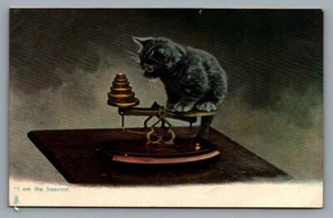 Tuck's postcard Kittendom, I am the heaviest cat on scale 1418 - Picture 1 of 2
