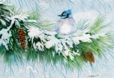 Merry Christmas Birds Blue Jay Jays Sherri Buck Baldwin Leanin' Tree Card - Image 1 of 4