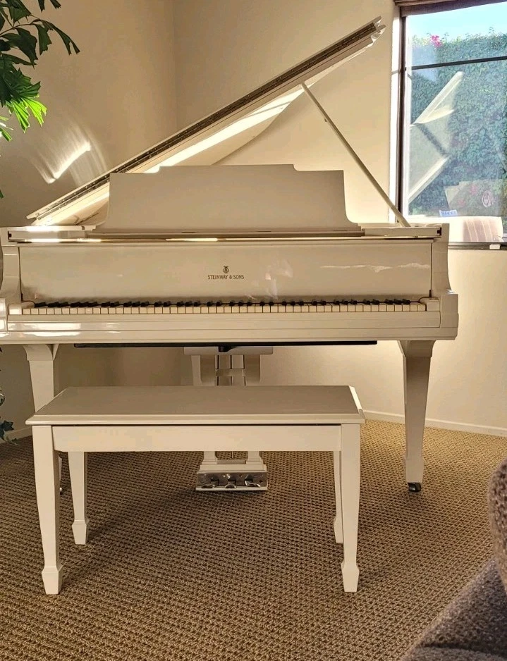 Piano Steinway & Sons - Modelo M 5'7" Raro Color Marfil 1920 Baby Grand Foto 1 de 2