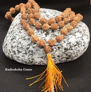 ROSARIO RUDRAKSHA 7 MM JAPA MALA SIN TRATAR 108+1 CUENTAS YOGA HINDÚ ORACIÓN MEDITACIÓN - Imagen 1 de 2