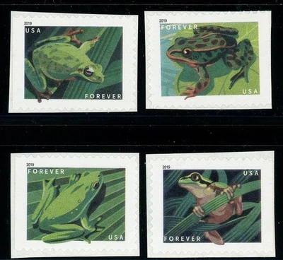 FROGS Block of 4 MINT REMOUNTED Booklet Stamps Scott's 5395 5396 5397 & 5398   ~ - Image 1 of 2