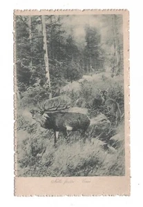 CERVI NELLA FORESTA CARTOLINA FUSTELLATA NON VIAGGIATA ANNI '30 FP - Imagen 1 de 2