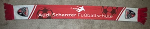 FC Ingolstadt 04 Schal - Kinderschal - AUDI SCHANZER FUSSBALLSCHULE - - Bild 1 von 1