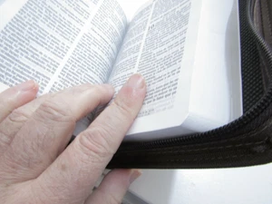 Biblia Reina Valera 60 con funda y canto plateado - Imagen 1 de 3