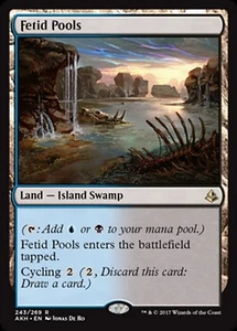 MRM FR/VF Bassins f�tides - Fetid Pools MTG magic AKH - Imagen 1 de 1