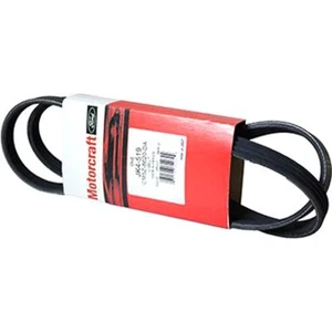 JK4519 Motorcraft Serpentine Belt for Ford EcoSport Focus 2012-2018 - Picture 1 of 1