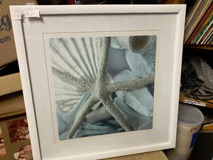 starfish picture frame ~ 18" x 18" - Picture 1 of 2