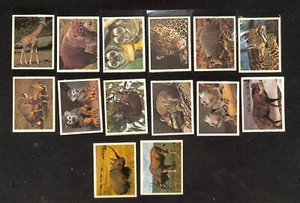 1970's General Mills, South American Animals, Lot of 14 Different, - Picture 1 of 2