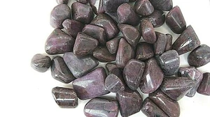 One Ruby Tumbled Stone XL 30-40mm Healing Crystal Lemuria Akashic Record Psychic - Picture 1 of 2