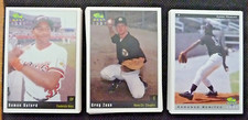 1991 CLASSIC BEST FREDERICK KEYS KANE CO. COUGARS, 1993 ALBANY POLECAT TEAM SETS