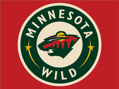Minnesota Wild Flag 3x5ft Banner Polyester Ice Hockey Stanley Cup wild004 Cover