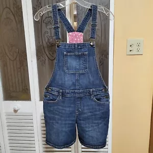 GapKids Cutoff Shortalls Overall Shorts Denim Heart Lining- Size XXL - Picture 1 of 10