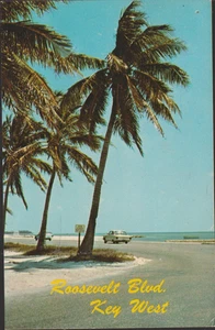 Key West FL. Roosevelt Blvd. Cartolina Cromata - Foto 1 di 2