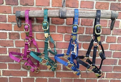 2er/4er Set  Halfter "Colorado" mit Messingbeschlägen, elegant, stabil, Gr. Pony - Bild 1 von 2