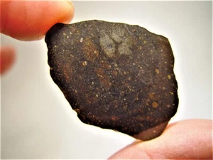 GREAT DEAL! FANTASTIC CHONDRULES! FABULOUS NWA 13758 R3 METEORITE SLICE! 9.8 GMS - Picture 1 of 7