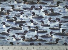Quilting Treasures ~ Realistic Loons Small Print ~ 100% Cotton Quilt Fabric BTY