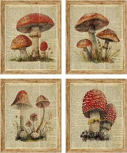 Vintage Red Mushroom Wall Decor Art Prints, Cottagecore Decor, Mushroom Decor, D - Picture 1 of 12