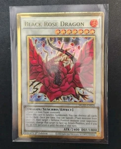 Black Rose Dragon ERROR HOLO BLEED MGED-EN026 Yu-Gi-Oh! TCG Card Near Mint NM - Picture 1 of 2