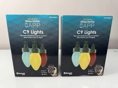 Show Home 24 Luces LED Multicolor * C9 Luces Inteligentes LED Navidad - ¡Raro-Nuevo! Foto 1 de 4