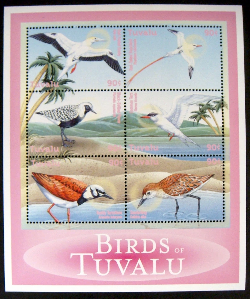HOJA DE ESTAMPILLAS DE AVES TUVALU 2000 AVES MARINAS VIDA MARINA CHARRÁN CHORLITO OCÉANO VIDA SILVESTRE 1 Foto 1 de 1