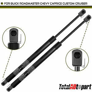 2 Rear Window Glass Lift Supports for Chevy Caprice Buick Oldsmobile Wagon 91-96 - Picture 1 of 8