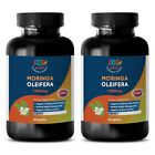 Anti Aging Herb - Super Food - Moringa Oliefera Extract 1200mg - 2 Bot 120 Ct