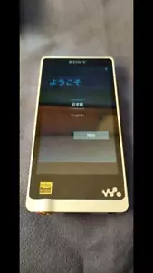 Reproductor portátil Sony Hi-Res Walkman NW-ZX1 128 GB plateado de alta resolución MP3 USADO - Imagen 1 de 3