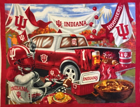 NCAA COLLEGE INDIANA HOOSIERS FLEECE PANEL FOR BLANKET, CRAFTS, WALL HANGING Cover