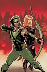 DARK CRISIS WORLDS WITHOUT A JUSTICE LEAGUE FLECHA VERDE #1 - Cubierta A - DC - Imagen 1 de 1