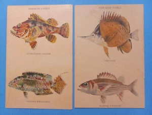 RARE Hand Colored Fish Hawaii & South Seas Curio Co., Honolulu postcard Lot of 2 - Picture 1 of 2