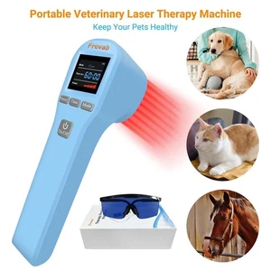 Máquina de terapia láser de 880 mW luz roja alivio del dolor para veterinario humano LLLT 650 nm + 808 nm - Imagen 1 de 16