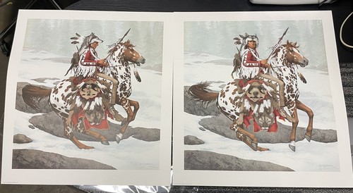 Bev Doolittle 