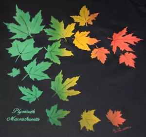 Camiseta De Colección Pantalla Estrellas Talla M Años 80 Plymouth Mass Excelente Hojas de Otoño c.1985 - Imagen 1 de 12