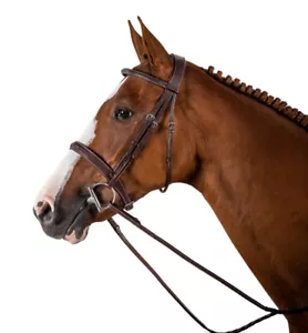 Dy'on Raised Fancy Stitch Wide Noseband Leather Hunter Bridle - Picture 1 of 1