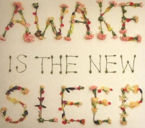 Fast 2 day shipping 🇺🇸 AWAKE IS THE NEW SLEEP, BEN LEE CD Audio Mint Condition - Picture 1 of 1