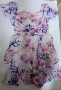 Francesca's Light Pink Floral Ruffled Top/Dress Size XS, NWT $56 - Picture 1 of 6