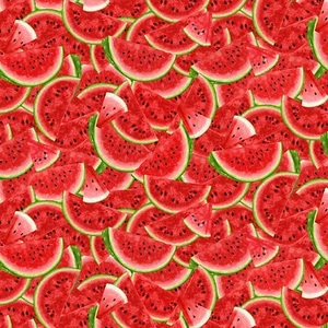 Feline Drive Fabric WATERMELON PARTY Packed Slices - Fat Quarter (18"x 22") FQ - Picture 1 of 8