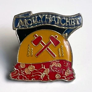 RARE Vintage 1980s MOLLY HATCHET enamel badge oval cloisonne button band pin - Picture 1 of 2