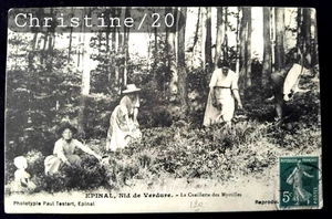 Christine Nr. 20 alte Postkarte Epinal La Cueillette des Myrtilles - Bild 1 von 2