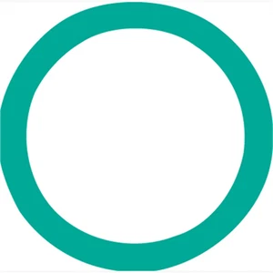 FJC 4010 FJC O-RING - Picture 1 of 1