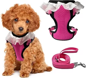 Juego de arnés y correa de malla transpirable XSmall para perro mascota cachorro nuevo en caja - Imagen 1 de 2