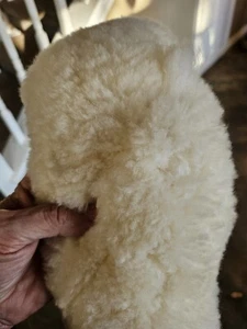 Vintage Shearling Sheepskin Fur Collar Piece 28" X 4" Super Soft - Picture 1 of 8