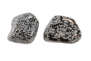 Piedra preciosa de cristal curativo chakra raíz natural obsidiana copo de nieve caído 1 1/4" - Imagen 1 de 4