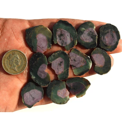 11 Pcs Natural Rare Watermelon Ruby Untreated 22mm-23.7mm Slice Rough Gemstones - Image 1 of 4