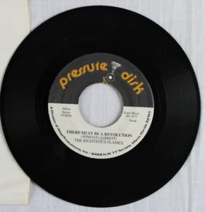 The Righteous Flames- There Must be A Revolution (1975) Pressure Disk Records - Picture 1 of 2