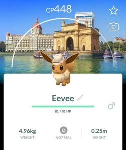 🐾🦊🇮🇳 1x Explorer EEVEE Mumbai Hintergrund Handel🔄 Safari Zone !! Pokémon Go!! - Bild 1 von 1