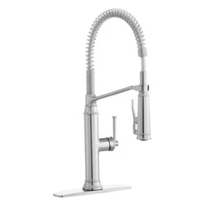 Linscott Single-Handle Coil Springneck Pull-Down Sprayer Kitchen Faucet in Steel - Picture 1 of 5