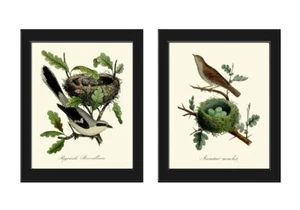 Bird Nest Eggs Wall Art Prints Set of 2 Beautiful Antique Vintage Unframed - Picture 1 of 8